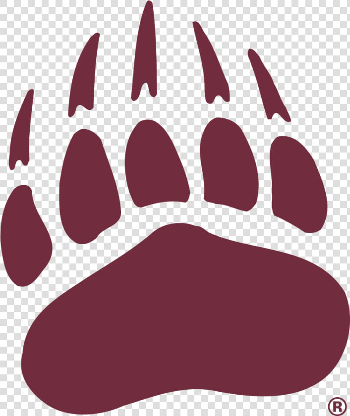 Montana Grizzlies   Montana Grizzlies Football Logo  HD Png DownloadTransparent PNG