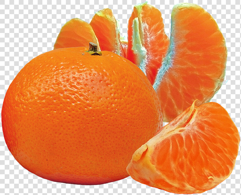 Mandarin Orange   Mandarin Orange Png Clipart  Transparent PngTransparent PNG