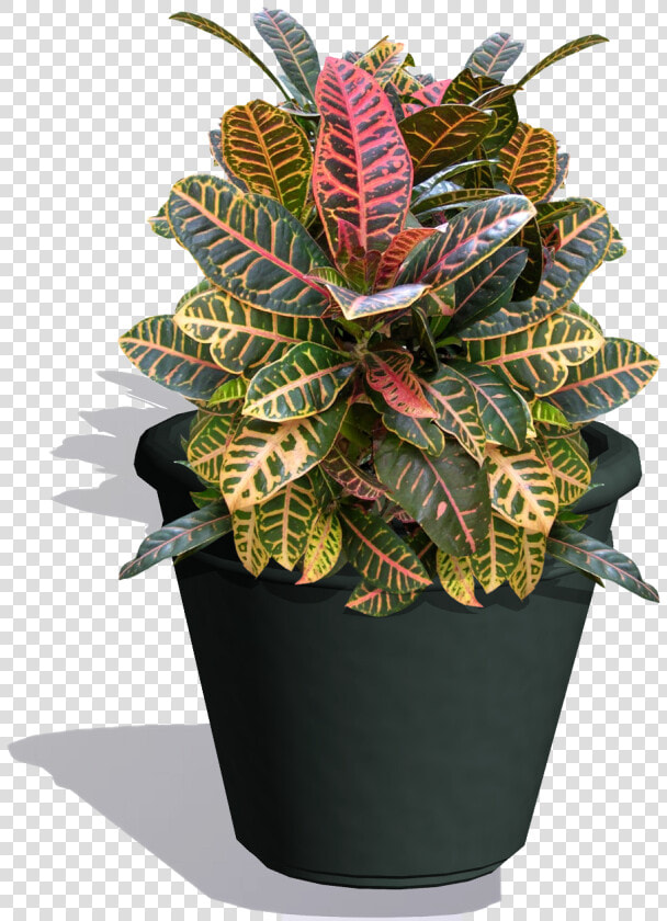 Houseplants Las Cruces   Flowerpot  HD Png DownloadTransparent PNG