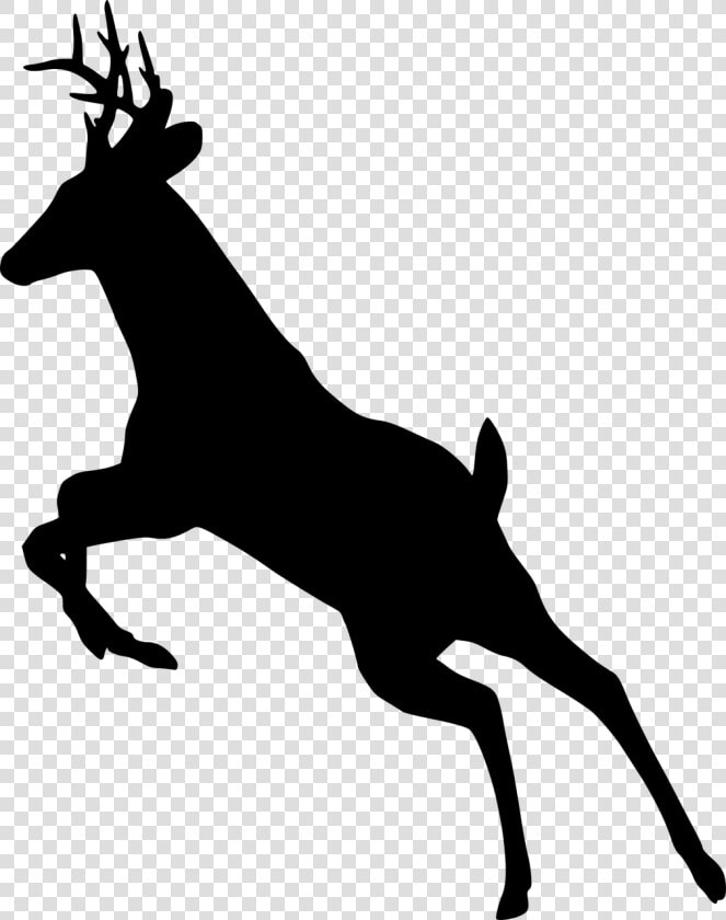 Deer  Jumping  Silhouette  Animal  Leaping  Wildlife   Deer Running Silhouette Buck  HD Png DownloadTransparent PNG