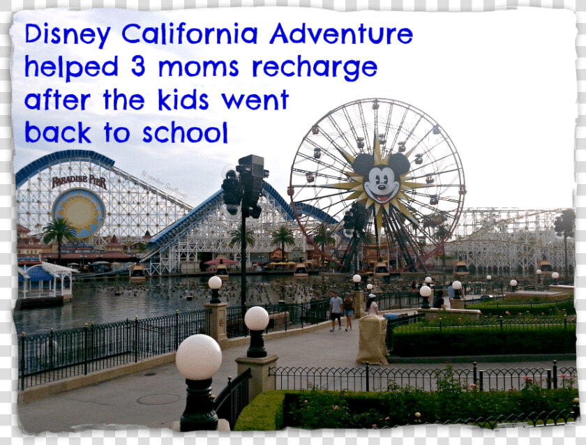 Disney California Adventures Helped 3 Moms Recharge   California  HD Png DownloadTransparent PNG