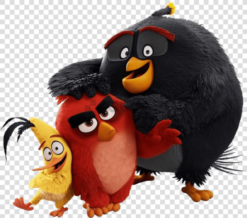 Angry Birds Png Transparent Background   Angry Birds Film Png  Png DownloadTransparent PNG