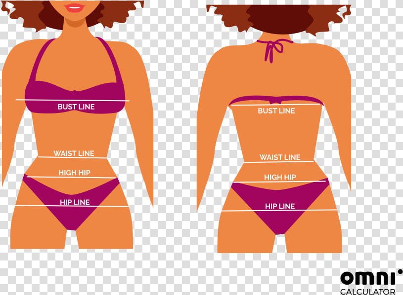 Bikini Calculator   Measurements   Hip Body  HD Png DownloadTransparent PNG