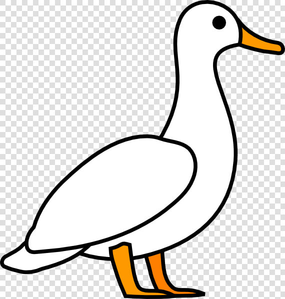 American Pekin Duck Mallard Clip Art  HD Png DownloadTransparent PNG