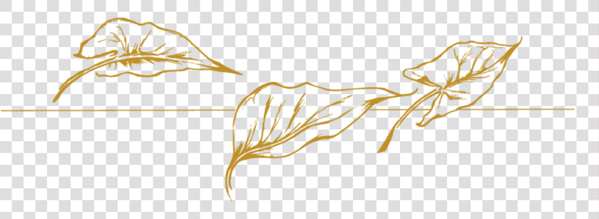 Transparent Enchantress Png   Transparent Gold Leaf Png  Png DownloadTransparent PNG