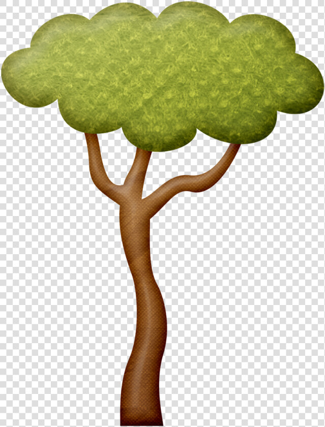 Plant Clipart Safari   Safari Tree Drawing  HD Png DownloadTransparent PNG