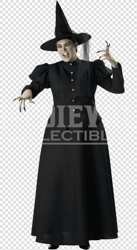 Transparent Wicked Witch Png   Witch Costume  Png DownloadTransparent PNG