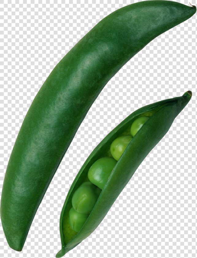 Pea   Green Pea  HD Png DownloadTransparent PNG