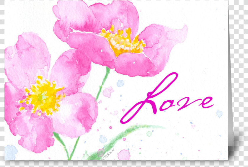 Falling In Love Greeting Card   Rosa Rubiginosa  HD Png DownloadTransparent PNG