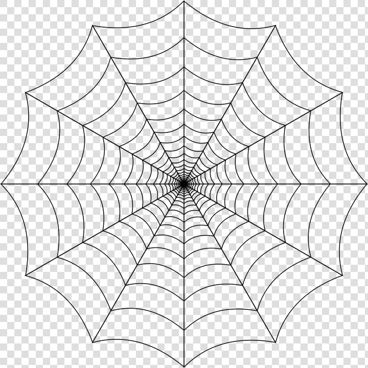 Spider Web  Cobweb  Spider  Web  Nature  Trap  Insect   Transparent Background Spiderweb Png  Png DownloadTransparent PNG