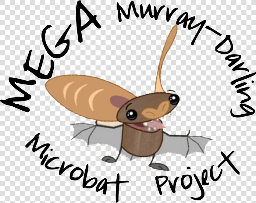 Mega Bat Project Final   Mega Murray Darling Microbat Project  HD Png DownloadTransparent PNG