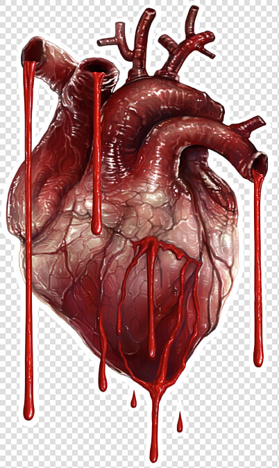 Bleeding Heart Transparent Background  HD Png DownloadTransparent PNG