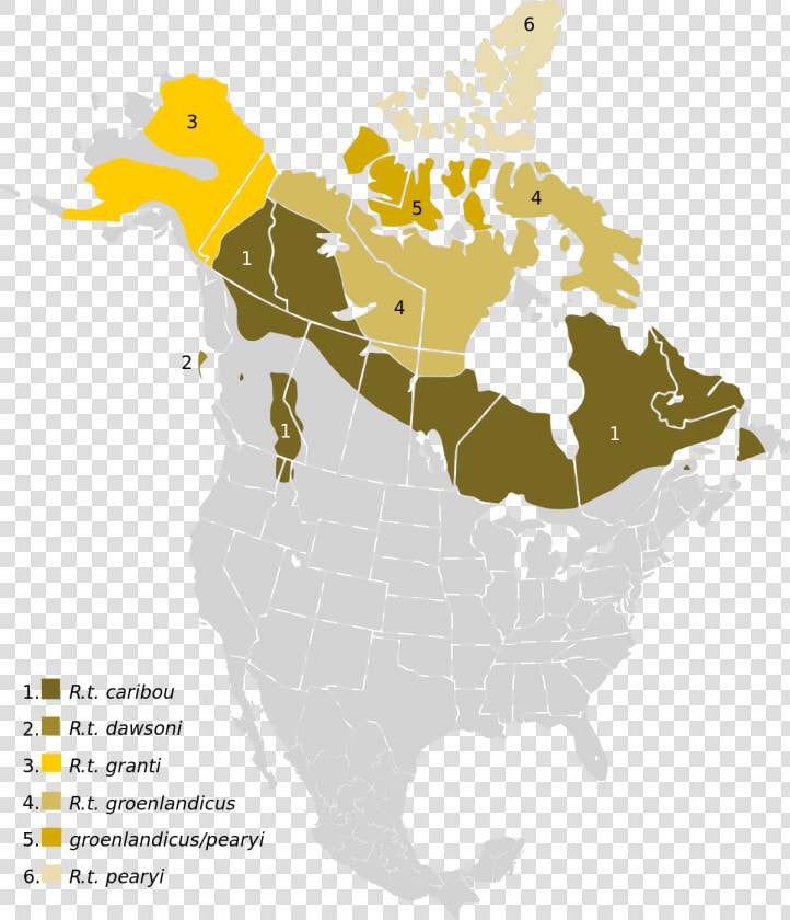 Caribou Range North America   Png Download   Caribou Range North America  Transparent PngTransparent PNG