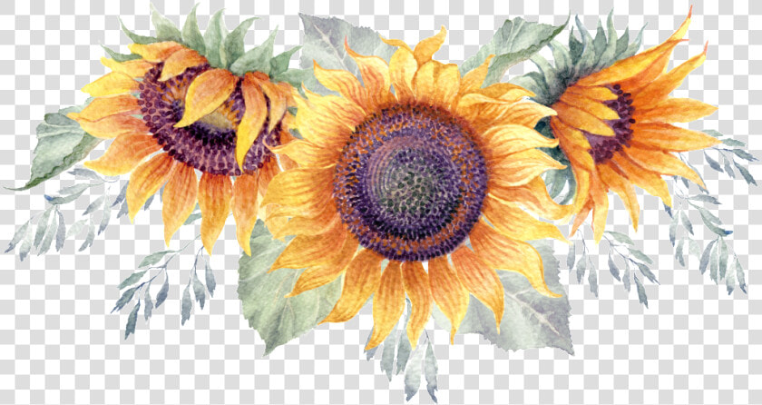 Green Watercolor Hand Painted Sunflower Transparent  HD Png DownloadTransparent PNG