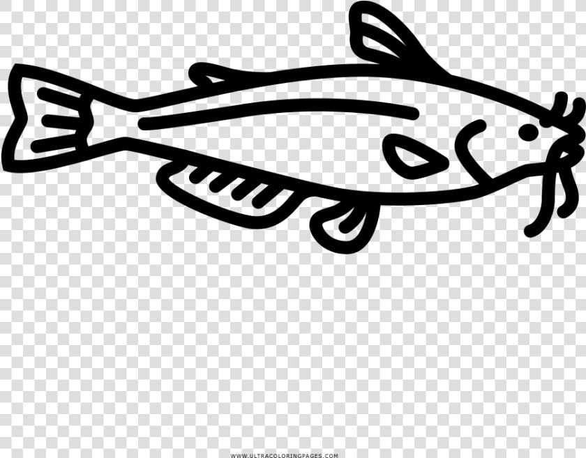 Catfish Coloring Page  HD Png DownloadTransparent PNG