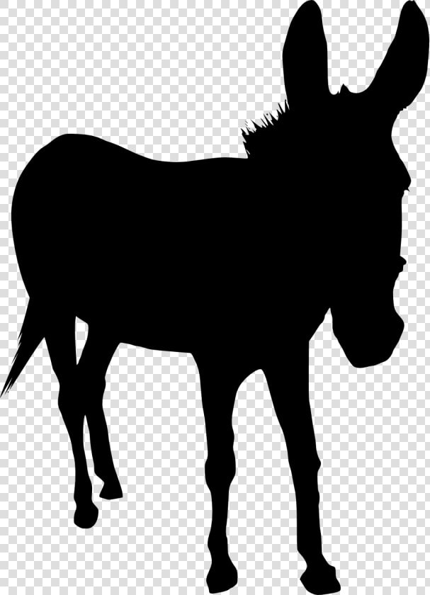 Donkey Silhouette Png   Silhouette Donkey Transparent Background  Png DownloadTransparent PNG