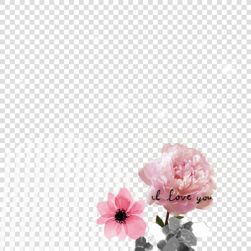 Flowering Dogwood   Png Download   Peony Flower  Transparent PngTransparent PNG