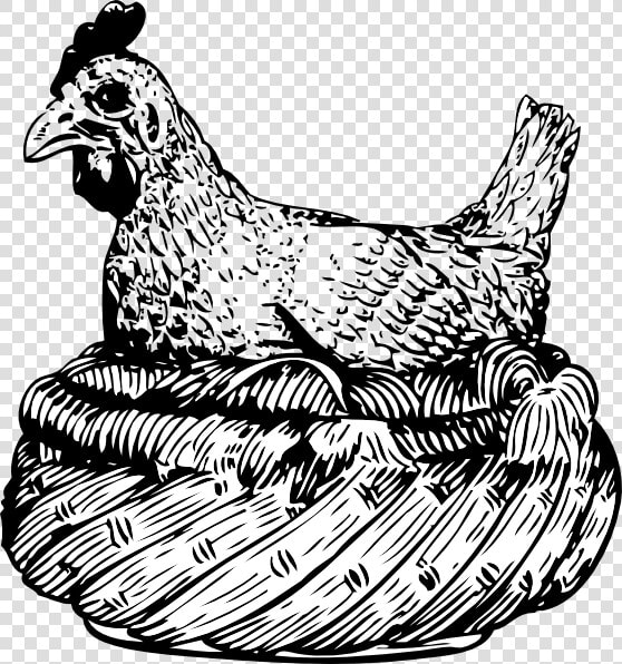 Old Hen In A Basket Svg Clip Arts   Hen On A Rock Clipart Black And White  HD Png DownloadTransparent PNG