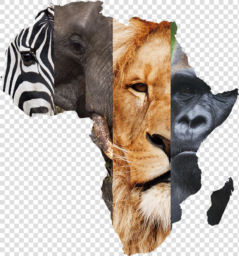 East Africa Located  HD Png DownloadTransparent PNG