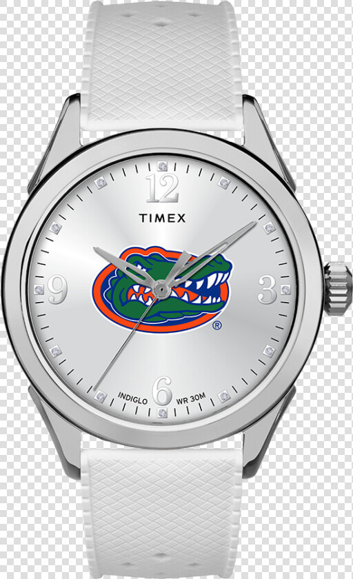 Athena Florida Gators Large   University Of Florida  HD Png DownloadTransparent PNG