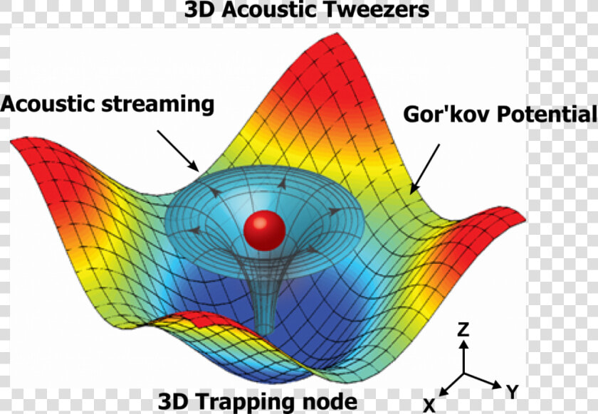 Acoustic Tweezers  HD Png DownloadTransparent PNG