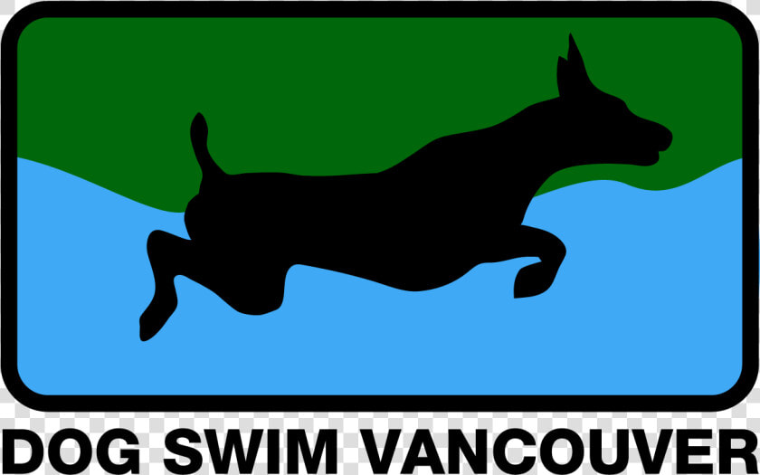 Dog Swim Vancouver   Dog Agility Vector  HD Png DownloadTransparent PNG