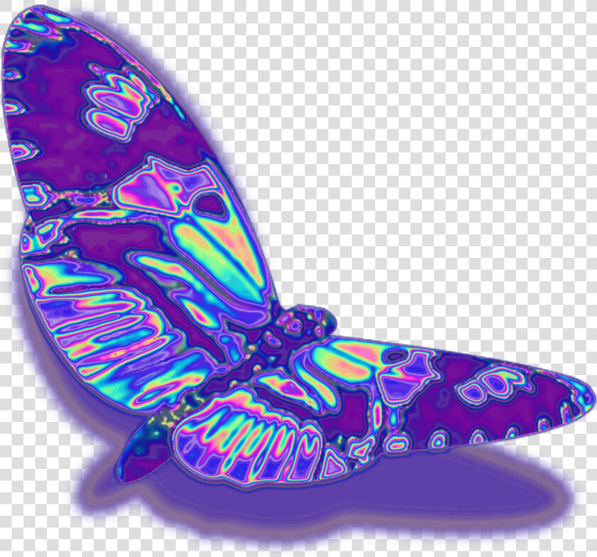 Glitch   Vaporwave   Holographic   Hologram   Freetoedi   Transparent Holographic Butterfly  HD Png DownloadTransparent PNG