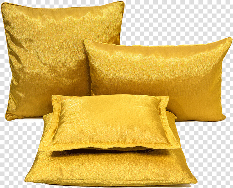 Van Der Hilst Pillow  HD Png DownloadTransparent PNG