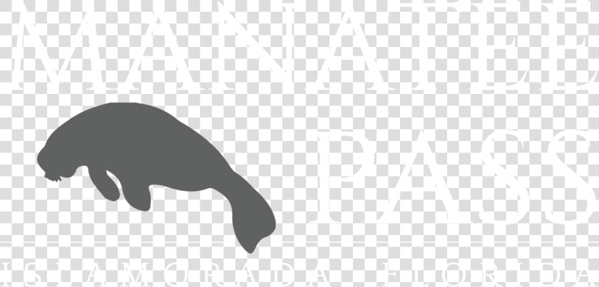 Manatee Pass   Puma  HD Png DownloadTransparent PNG