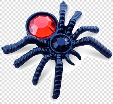 This Alt Value Should Not Be Empty If You Assign Primary   Tarantula  HD Png DownloadTransparent PNG