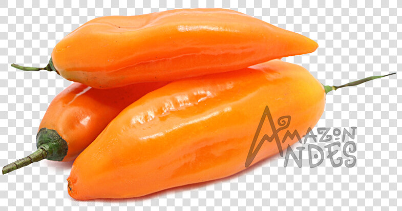 Aji Amarillo Y Aji Mirasol  HD Png DownloadTransparent PNG