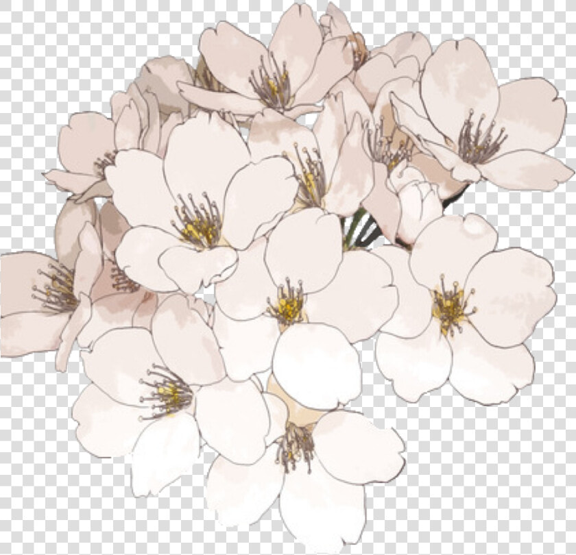 Portable Network Graphics Transparency Flower Clip   Flowers Anime  HD Png DownloadTransparent PNG