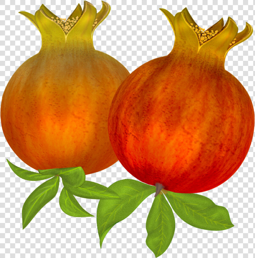 Image Stock Free Pomegranates Png Graphics Pinterest   Natural Foods  Transparent PngTransparent PNG