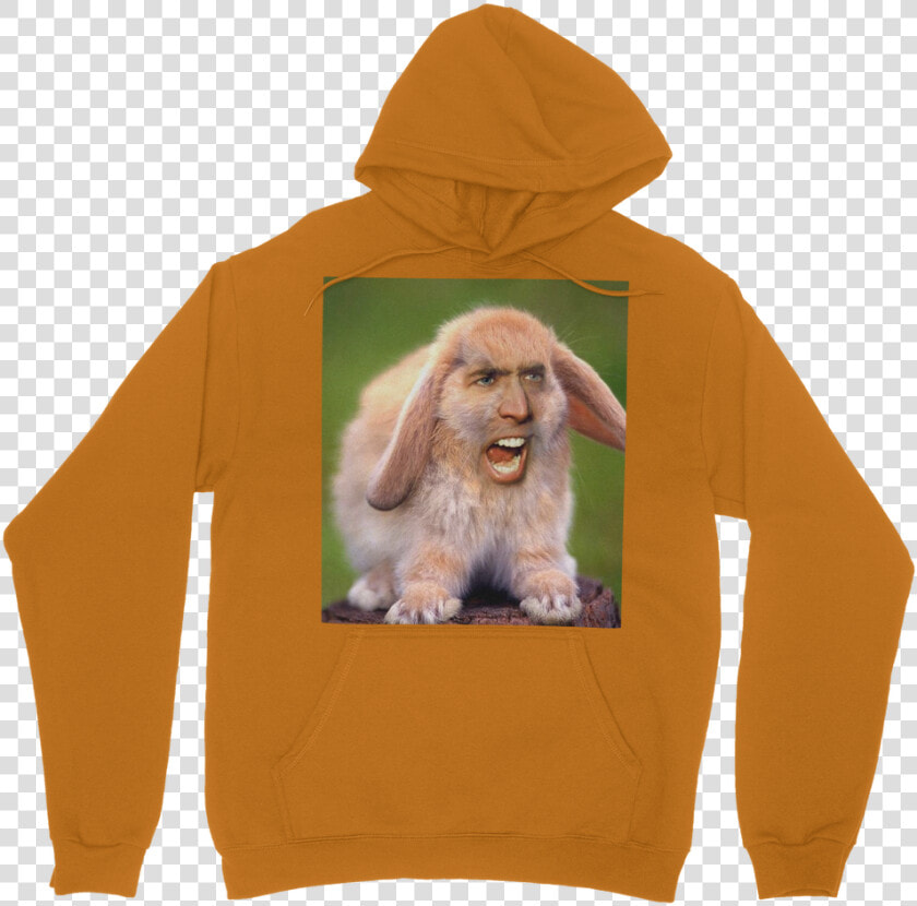 Nicolas Cage S Face On A Rabbit ﻿classic Adult Hoodie   Jacksepticeye Merch Green Hoodie  HD Png DownloadTransparent PNG