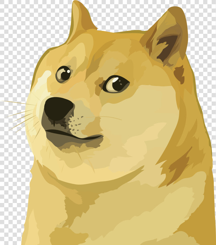 Dogecoin Png  Transparent PngTransparent PNG