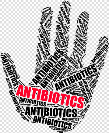 Antibiotics In Animal Feed   Hand  HD Png DownloadTransparent PNG