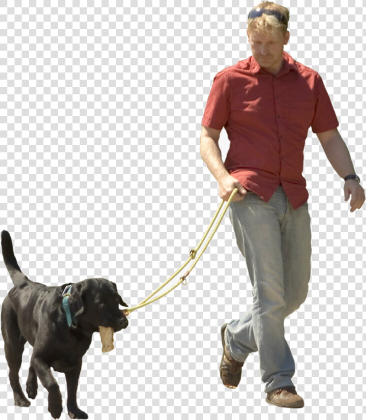 Dog Walking Pet Sitting Puppy Shock Transparent Background   Walking Dog Png  Png DownloadTransparent PNG