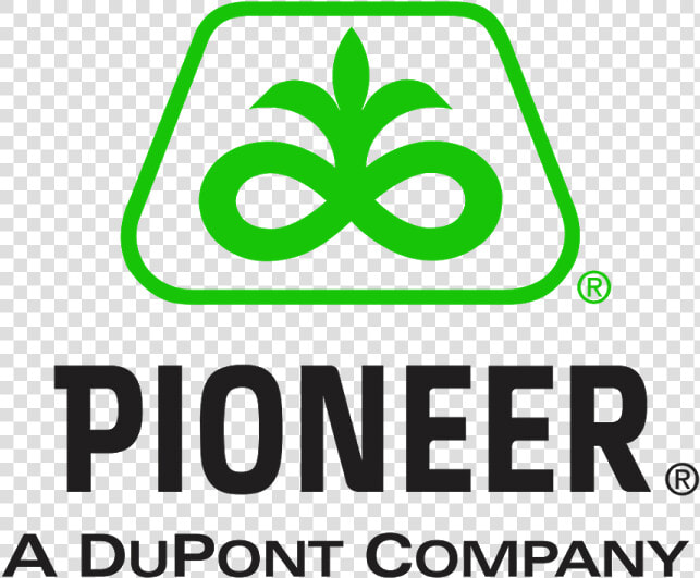 Dupont Pioneer Logo  Dupont Pioneer Logo Vector   Graphic Design  HD Png DownloadTransparent PNG