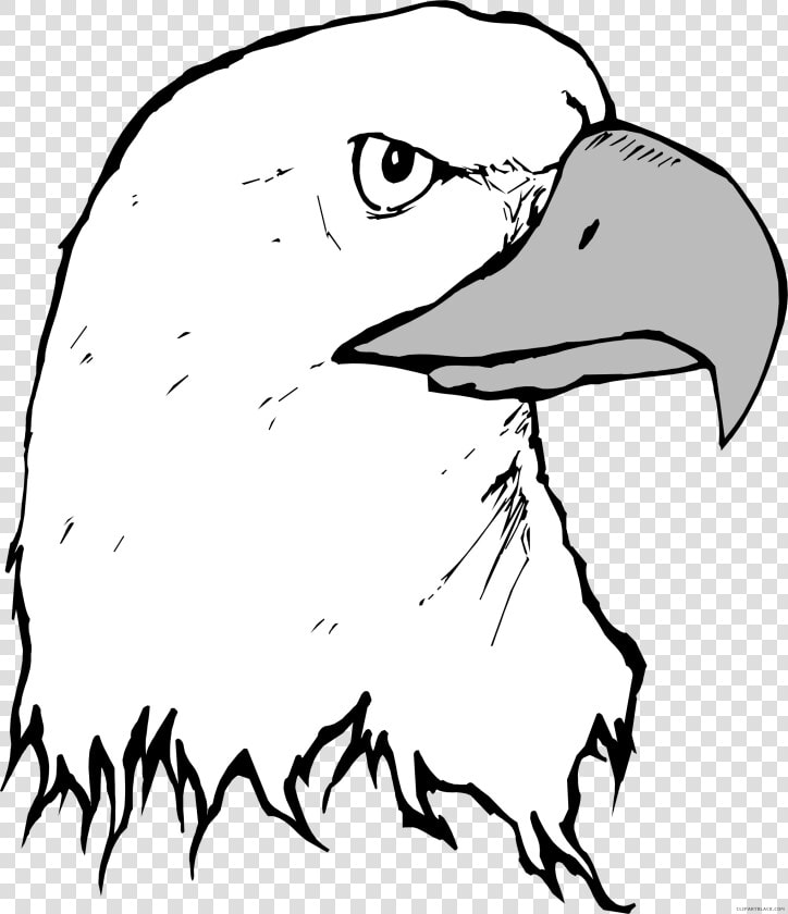 Eagle Animal Free Black White Clipart Images Clipartblack   Beak Clipart  HD Png DownloadTransparent PNG