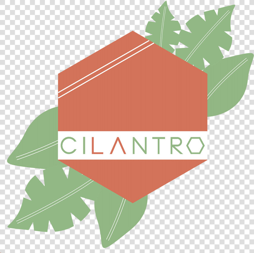 Cocina Cilantro   Maple  HD Png DownloadTransparent PNG