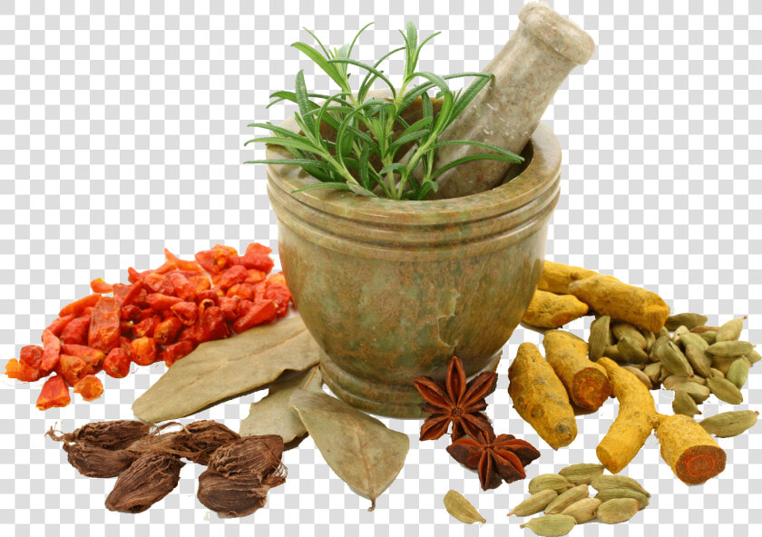 Spices Photo Png   Herbal Png  Transparent PngTransparent PNG