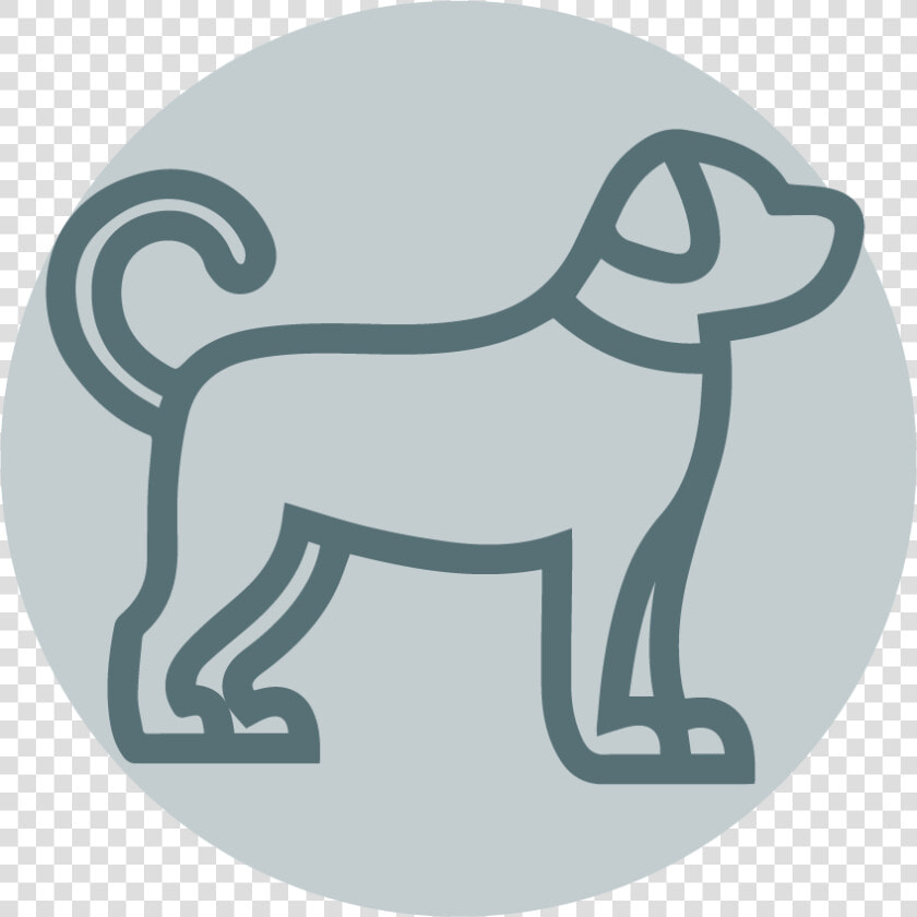 Dog Coupons   Dog Coupon  HD Png DownloadTransparent PNG