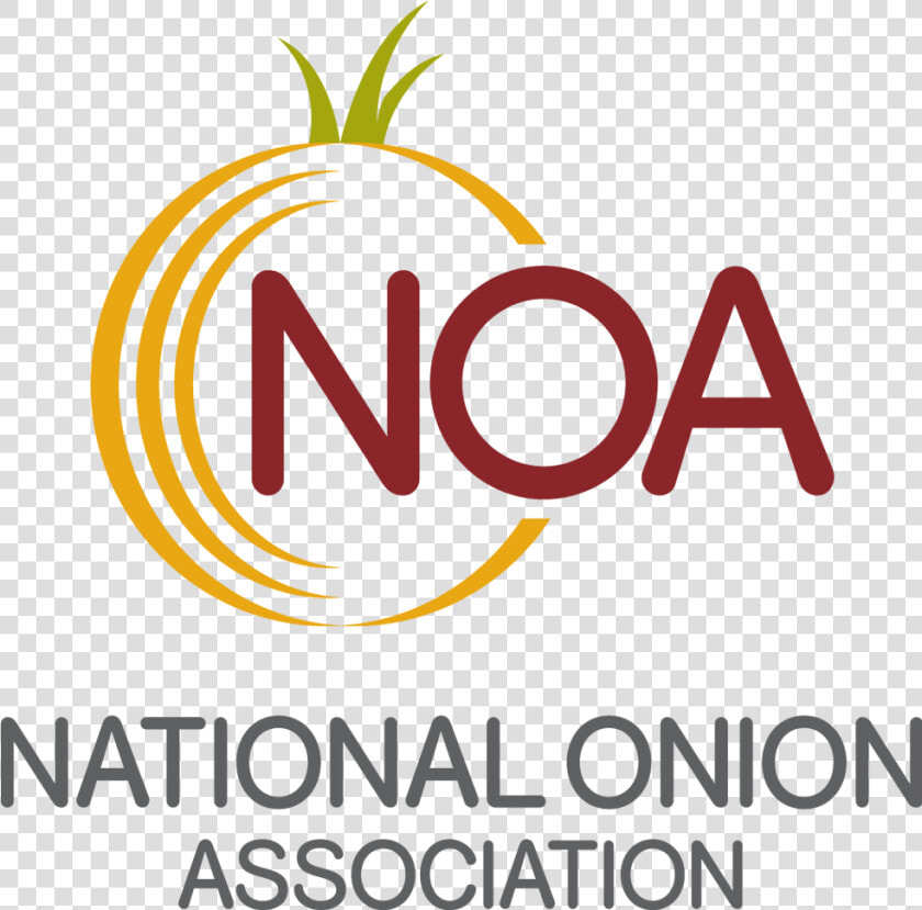 National Onion Association Annual Meeting  HD Png DownloadTransparent PNG