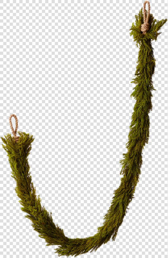 Transparent Holly Garland Png   Garland  Png DownloadTransparent PNG