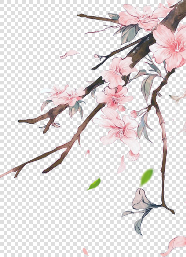  flowers  pink  pinkflowers  japanese  nature  ftestickers   Transparent Background Chinese Flowers Transparent  HD Png DownloadTransparent PNG