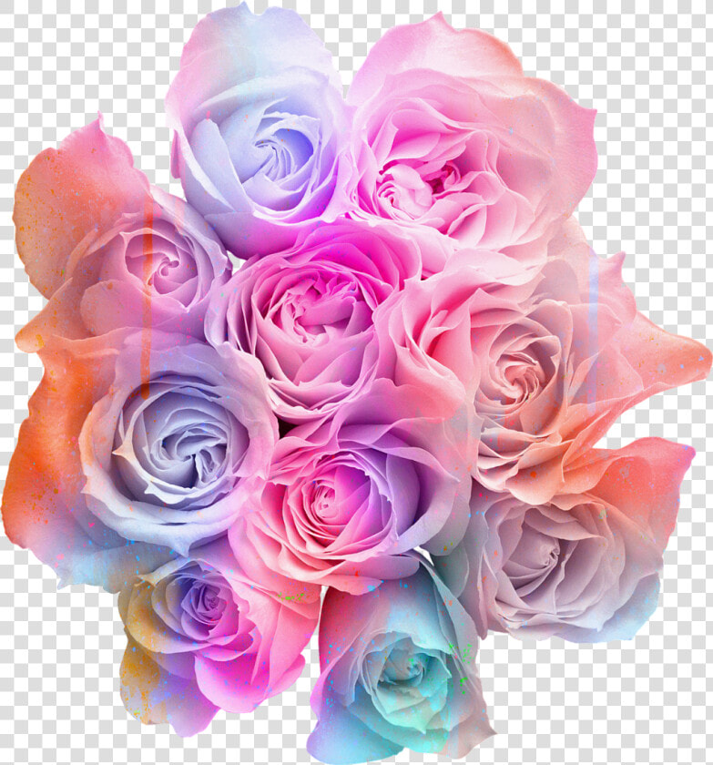  ftestickers  flowers  roses  bouquet  colorful  rainbowcolors   Yellow Roses Transparent Background  HD Png DownloadTransparent PNG