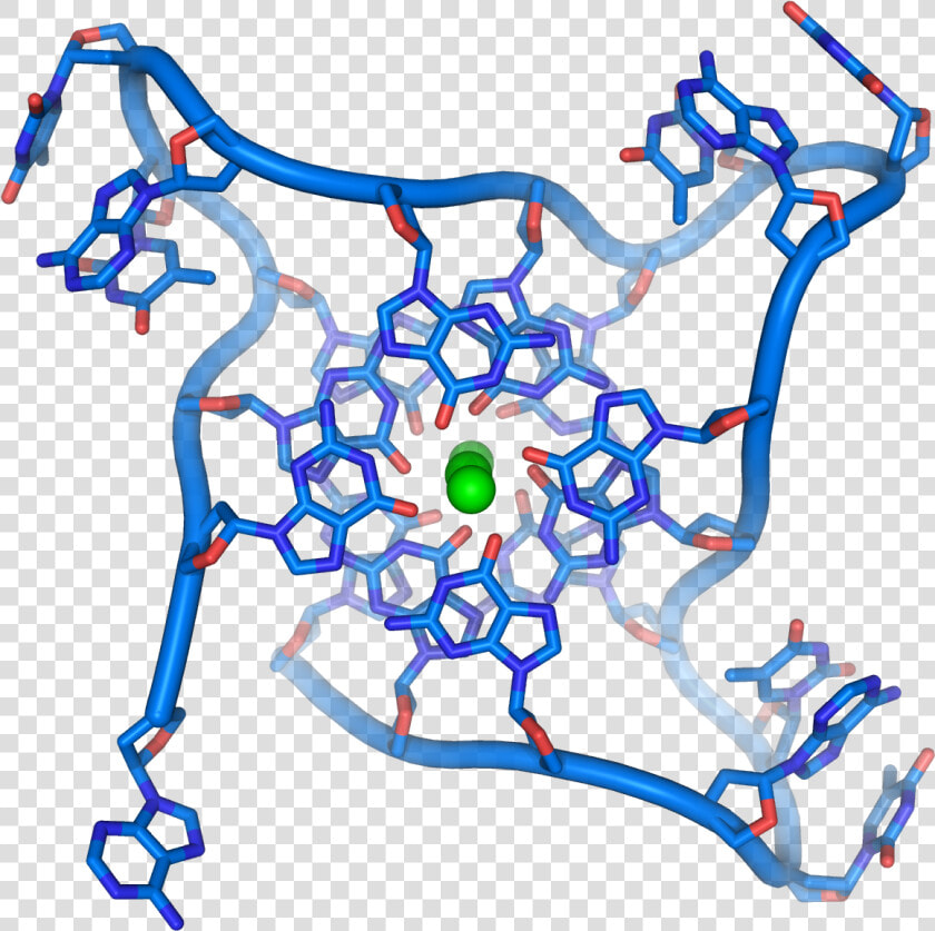 Quadruple Dna   Dna Found  HD Png DownloadTransparent PNG