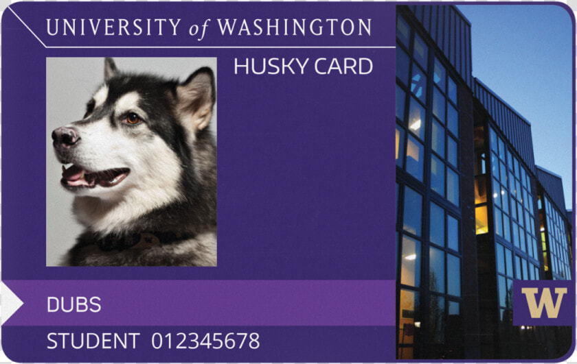 Washington Huskies Logo Png  Transparent PngTransparent PNG