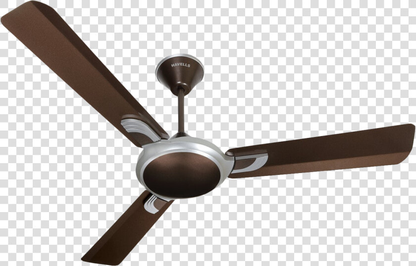 Selling Fan Png  Transparent PngTransparent PNG