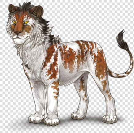 Masai Lion  HD Png DownloadTransparent PNG